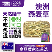 予诺佑宠·澳麦草澳洲燕麦草翡翠黄金澳麦进口晒干兔子荷兰猪龙猫