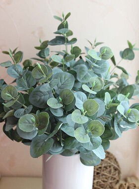 插花绿植尤加利藤条婚庆金钱叶