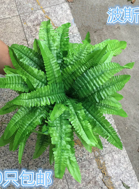 仿真绿植墙婚庆花艺蕨类波斯草