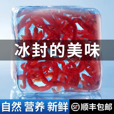 yee冰冻红虫鱼粮丰年虾六角恐龙