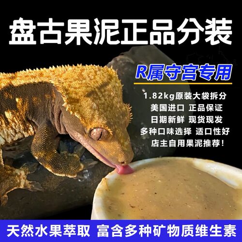 盘古果泥分装睫角魔物巨人守宫盖勾亚爬宠钙粉益生菌R牌果泥饲料