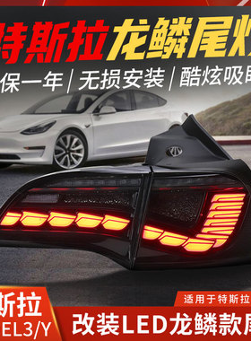 适用特斯拉model y龙鳞尾灯总成改装model3熏黑后尾灯LED流光转向