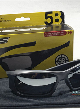 美国 ESS 5B EE9066- 防冲击 护目镜 骑行风镜 镜面 灰色架