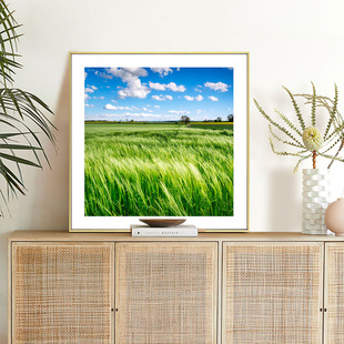 小清新房间装饰画风景挂画现代简约玄关柜客厅餐厅壁画卧室床头画