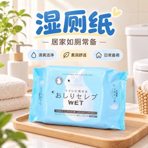 日本进口妮飘洁厕湿厕纸巾