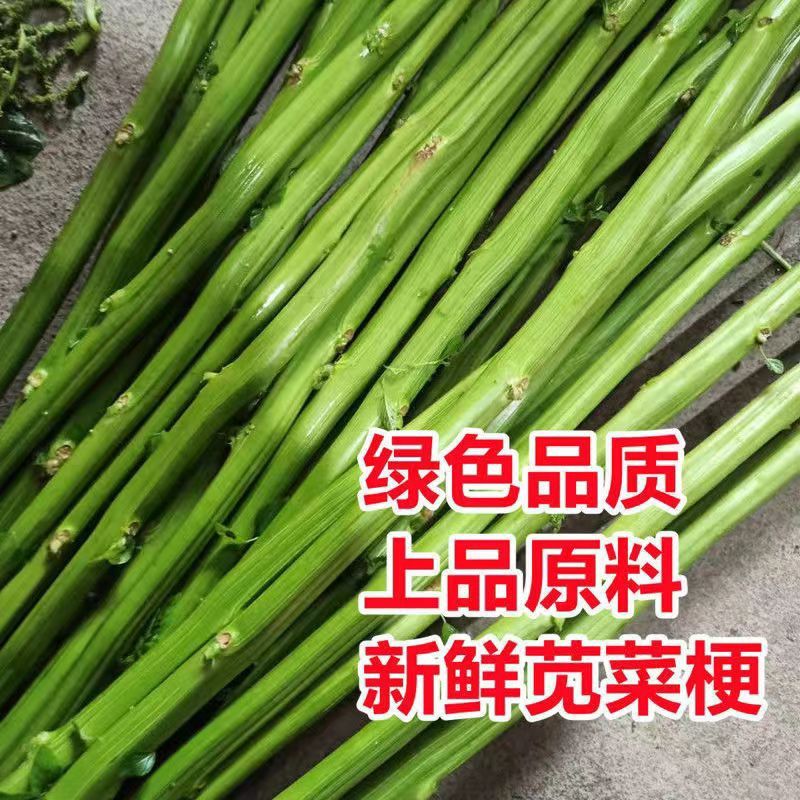 新鲜小杆子苋菜梗实芯鲜嫩绿苋菜杆子制作绍兴霉苋菜梗臭豆腐卤水