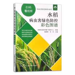 扫码看视频 水稻病虫害绿色防控彩色图谱水稻种植技术常见水稻病虫害正版