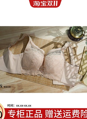 24新正品奥维丝丽2490调整型文胸大胸显小收腹乳软钢圈D杯内衣