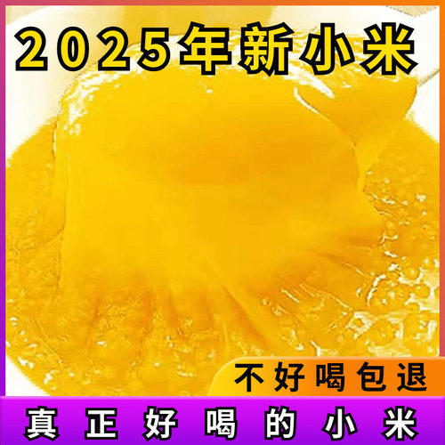 2025新米山东特产辉渠糯黄小米5斤农家小黄米黄金苗粮食小米粥