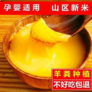 羊粪种植 2025新米农家辉渠黄小米山东安丘小米子小黄米小米粥5斤