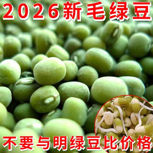 2026新毛绿豆笨绿豆可发芽