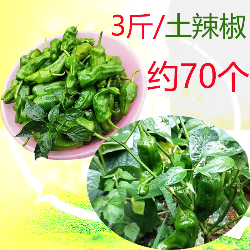 3斤包邮 安徽太湖县农家自种 时令蔬菜 新鲜中特辣土辣椒青红胡椒