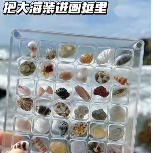 迷你海螺贝壳收纳盒亚克力透明卡砖手工diy收集盒展示盒微贝摆件