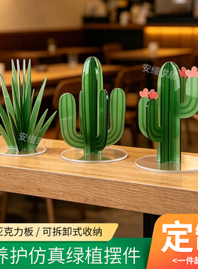 亚克力仙人掌装饰摆件仿真绿植