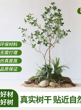 仿真冬青树马醉木真树干造景橱窗地貌组合摆件大型假树落地树景观