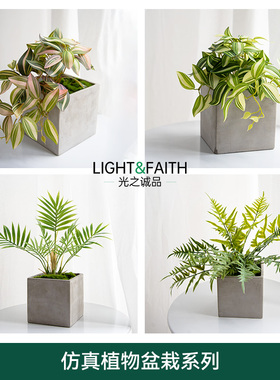 高仿真绿植物盆栽家居商用轻奢装饰花艺桌面摄影背景摆件