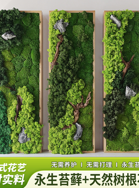 永生苔藓绿植壁挂饰立体植物墙绿植壁画高档墙面挂画桌面装饰摆件