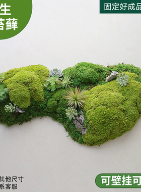 永生苔藓不规则地貌墙面壁挂仿真多肉造景景观装饰泡沫绿植小山