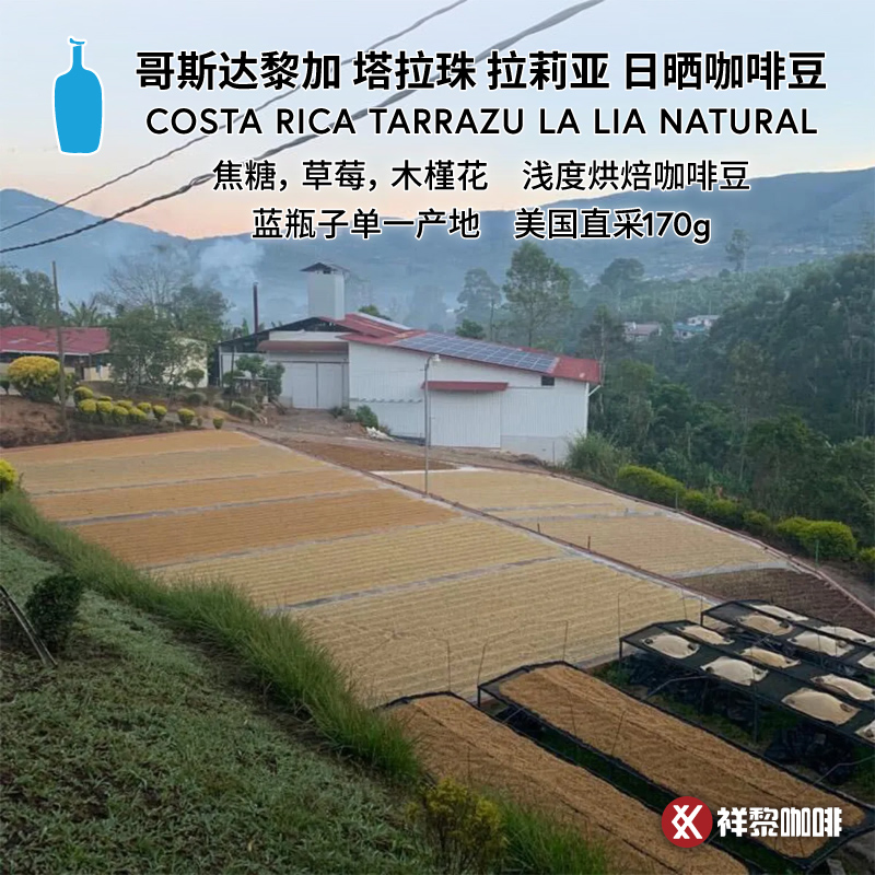 蓝瓶子哥斯达黎加日晒咖啡豆170g