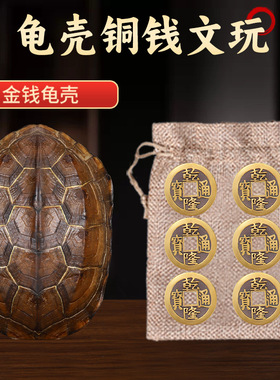 乾隆铜钱六爻摇卦工具算挂手把件家居摆件天然乌龟壳真龟甲文玩真