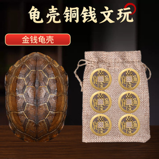 乾隆铜钱六爻摇卦工具算挂手把件家居摆件天然乌龟壳真龟甲文玩真
