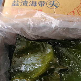 海芝宝深海小海带盐渍海带头5斤 大长海带头根厚炖汤煲汤凉拌火锅