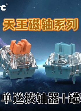 TTC天王磁轴 长弹簧Q弹跟手高稳定可靠磁轴中置磁铁Magnetic键盘