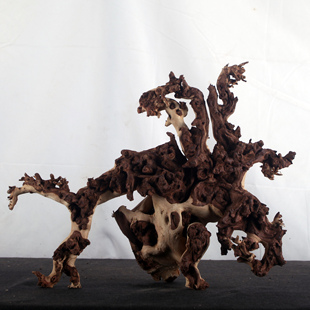 鱼缸造景水沉木珊瑚木造景枝条天然枯木水族箱装饰乌龟晒台紫柚木