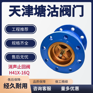 天津塘沽上海沪工精工消声止回阀 H41X-16Q 开维喜阀门瓦特斯阀门