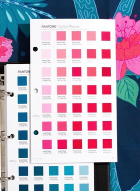 2023新版PANTONE潘通国际通用服装纺织棉布TCX色卡2625色FHIC300B