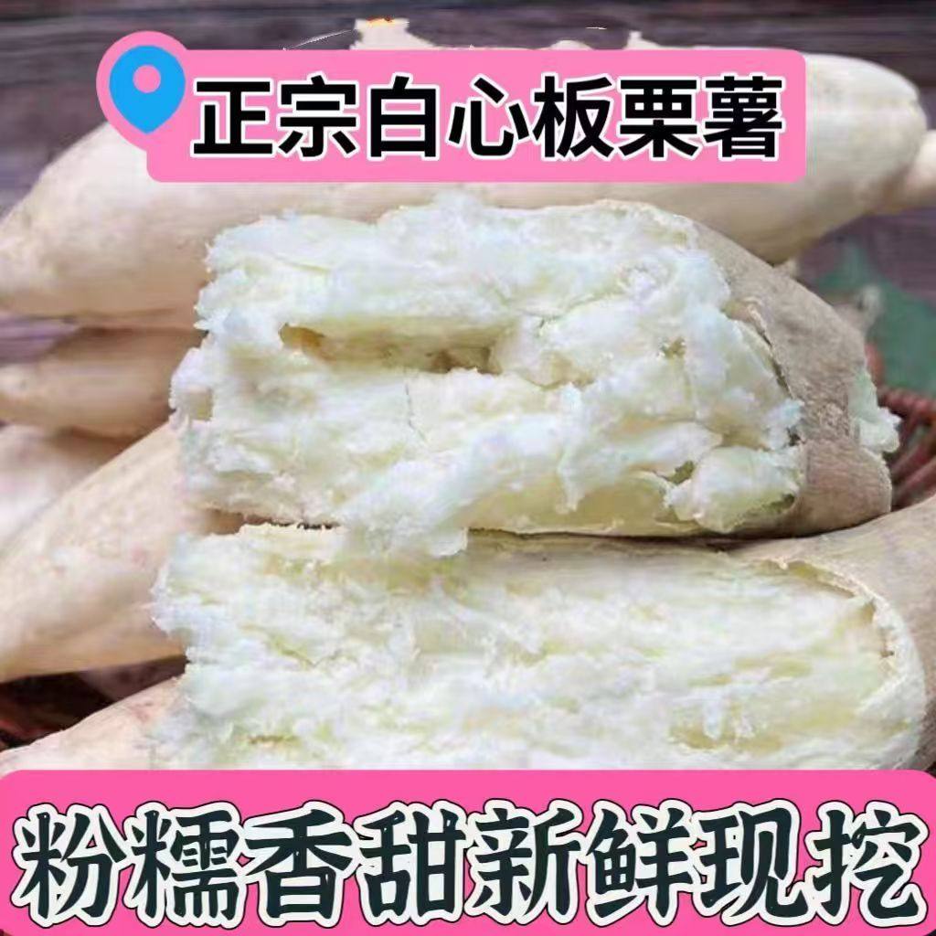正宗白皮人参薯新鲜粉面番薯5斤牛奶白心地瓜白瓤沙地板栗红薯,水产肉类/新鲜蔬果/熟食,番薯,淘宝优惠券,粉丝福利购,淘宝优惠卷