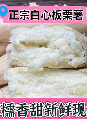 正宗白皮人参薯新鲜粉面番薯5斤牛奶白心地瓜白瓤沙地板栗红薯