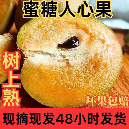 软糯香甜人心果现摘宝宝甜水果5
