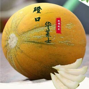 正宗磴口华莱士蜜瓜巴盟香瓜甜瓜当季新鲜孕妇水果产地现摘现发甜