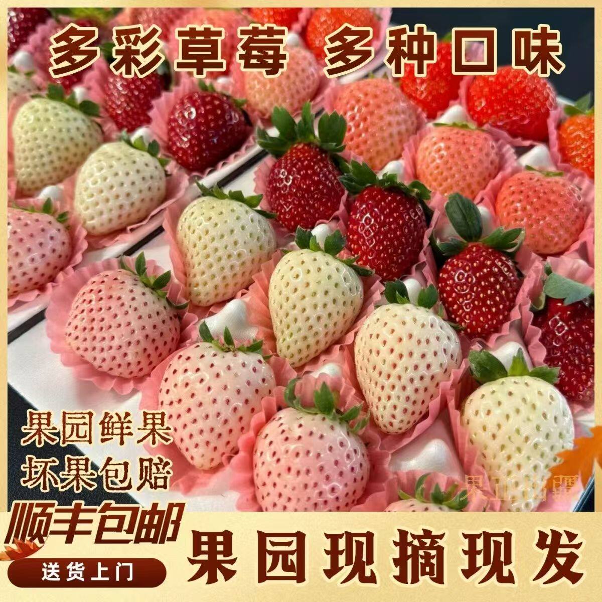 顺丰昆明空中七彩草莓散装2斤装现摘淡雪粉.玉妙香.黑草莓.白草莓