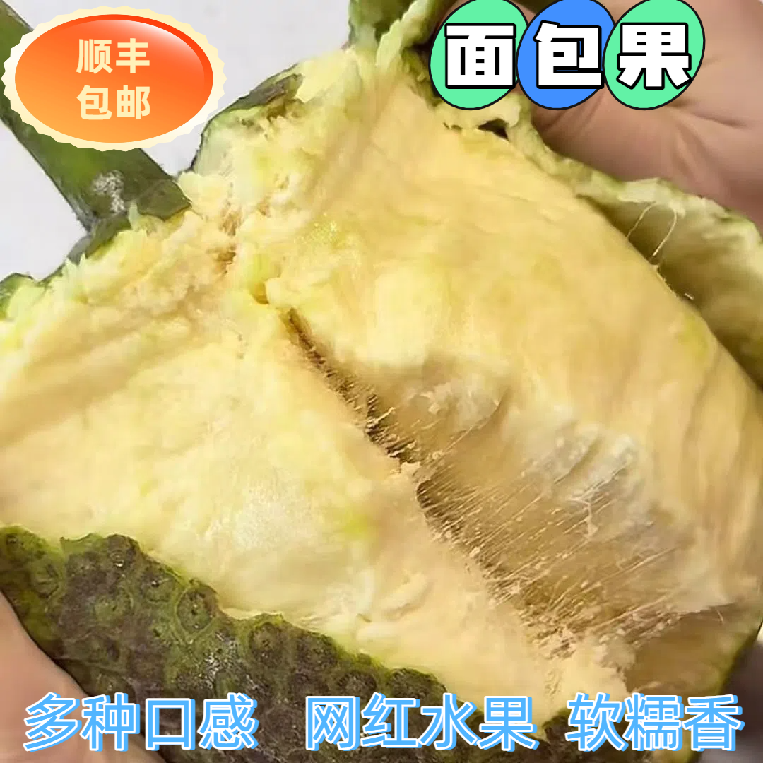 顺丰新鲜面包果 面包树果实特产稀有水果蒸煮炸炒炖烤皆可海南香