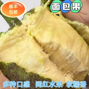 顺丰新鲜面包果 面包树果实特产稀有水果蒸煮炸炒炖烤皆可海南香