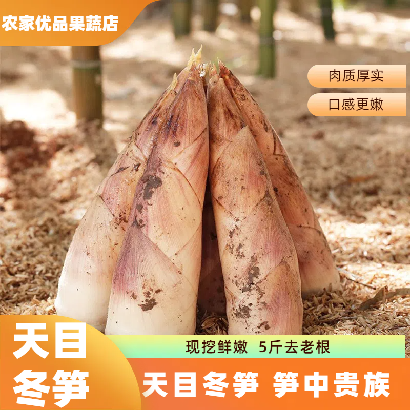 临安天目雷笋竹笋新鲜春笋现挖嫩芽笋冬笋鲜笋腌笃鲜嫩笋尖新鲜菜