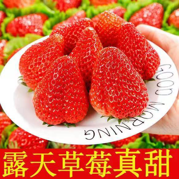 当季大凉山奶油草莓新鲜红草莓巧克力草莓酸草莓整箱当季水果现摘