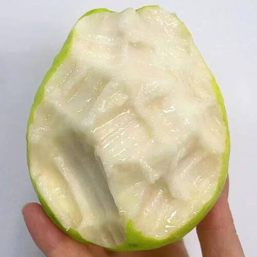 软糯白心芭乐10斤装水果当季现摘奶油白番石榴应季新鲜巴乐果广西