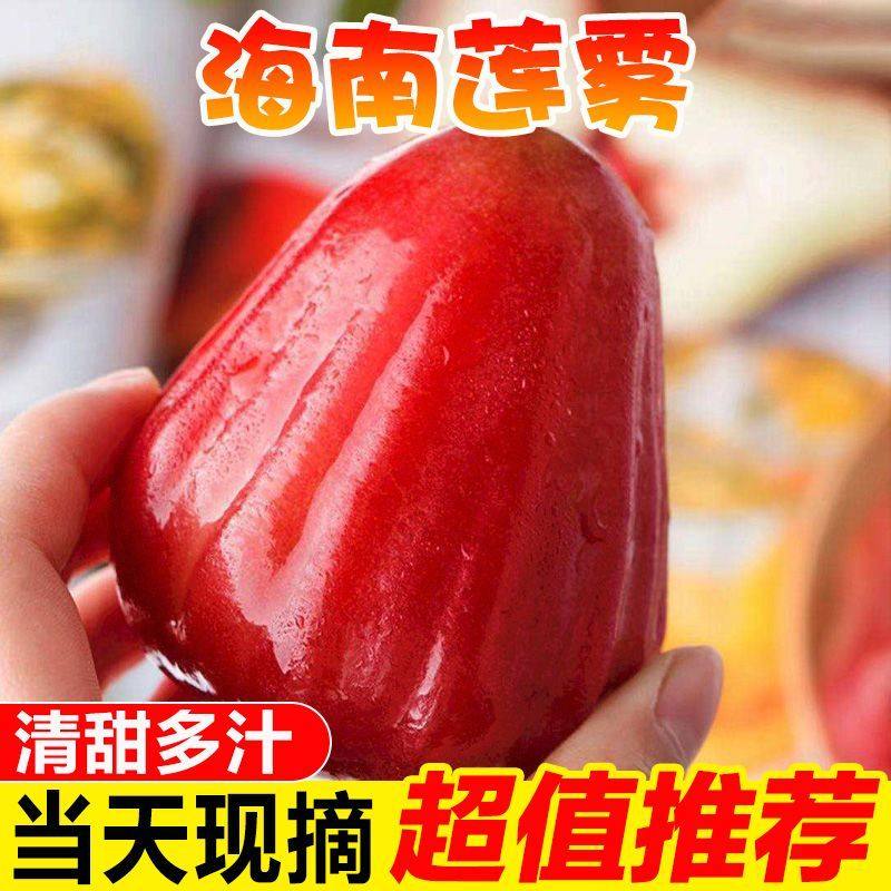 【顺丰】海南红宝石莲雾5斤当季新鲜孕妇水果大果非黑金刚连雾果,水产肉类/新鲜蔬果/熟食,莲雾,淘宝优惠券,粉丝福利购,淘宝优惠卷