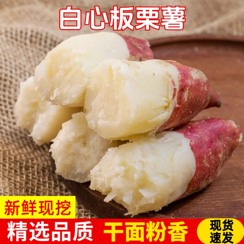 白心板栗薯新鲜红薯栗子香白薯白瓤地瓜红皮白心红薯干粉番薯9斤