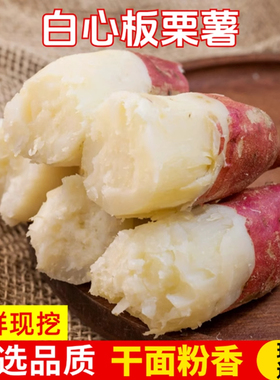 白心板栗薯新鲜红薯栗子香白薯白瓤地瓜红皮白心红薯干粉番薯9斤