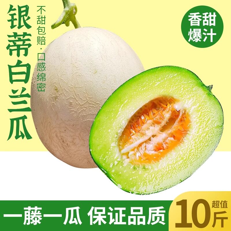 民勤沙漠银蒂白兰瓜10斤当季新鲜树上熟甘肃蜜甜瓜网纹瓜整箱包邮