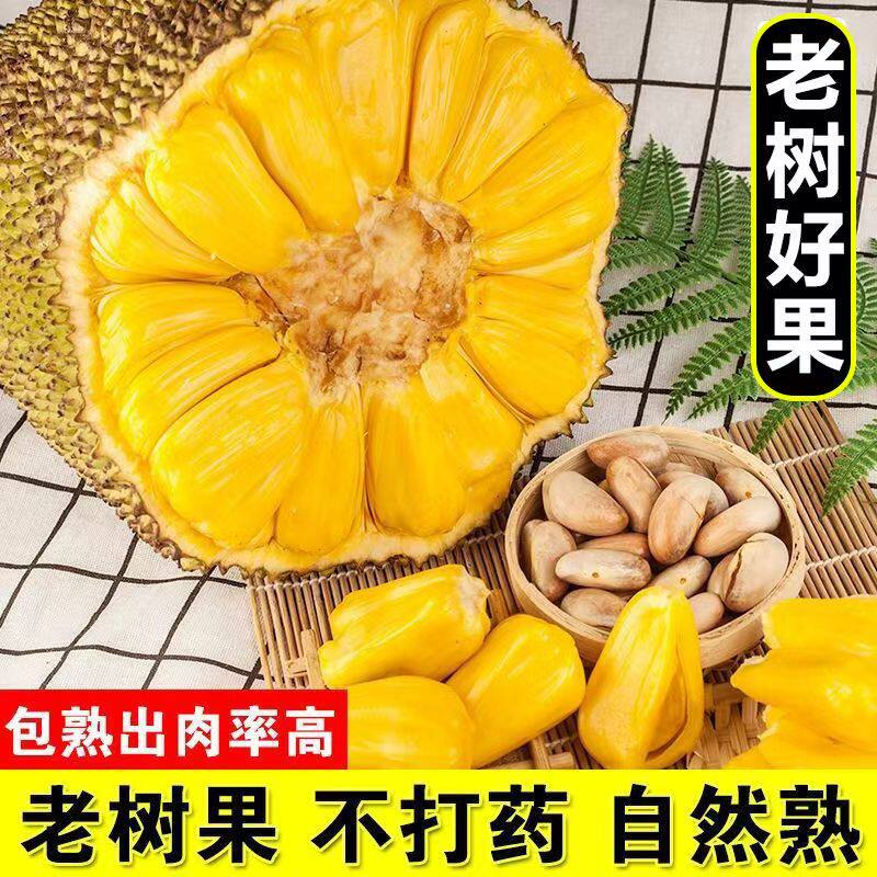海南黄肉菠萝蜜新鲜水果波罗蜜当季特产一整个20-40斤整箱包邮红