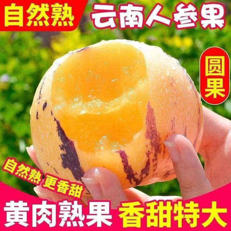云南石林七彩人参果新鲜水果树上熟大圆人叁人生果整箱包邮现摘,水产肉类/新鲜蔬果/熟食,人参果,淘宝优惠券,粉丝福利购,淘宝优惠卷