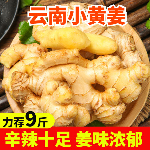 现挖新姜云南小黄姜新鲜生姜5斤蔬菜黄姜生姜月子姜非老姜黄姜10