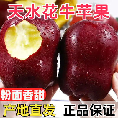正宗甘肃天水花牛苹果10
