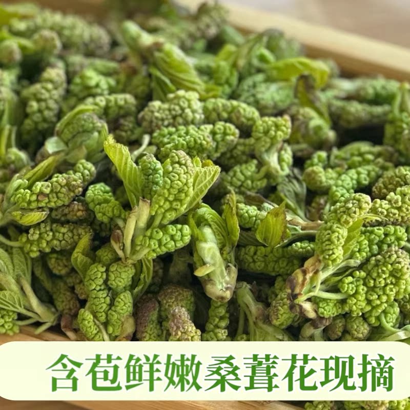 【顺丰空运】马桑花新鲜野生云南野花马桑叶食用桑葚花现摘桑葚花
