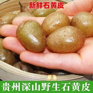 贵州野生石黄皮肾蕨果化狗儿凤凰蛋马骝卵新鲜现挖中药材草药5斤